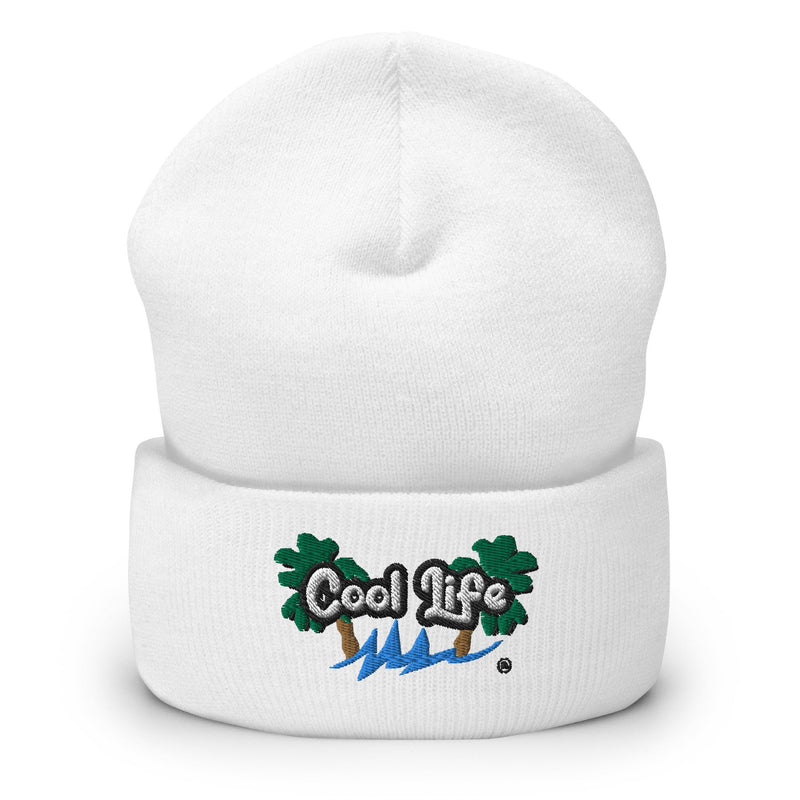 Cool Life Cuffed Beanie - Cool Life