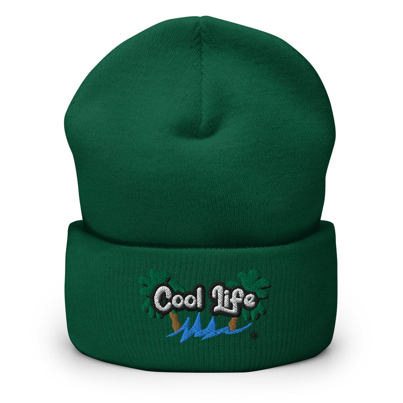 Cool Life Cuffed Beanie - Cool Life