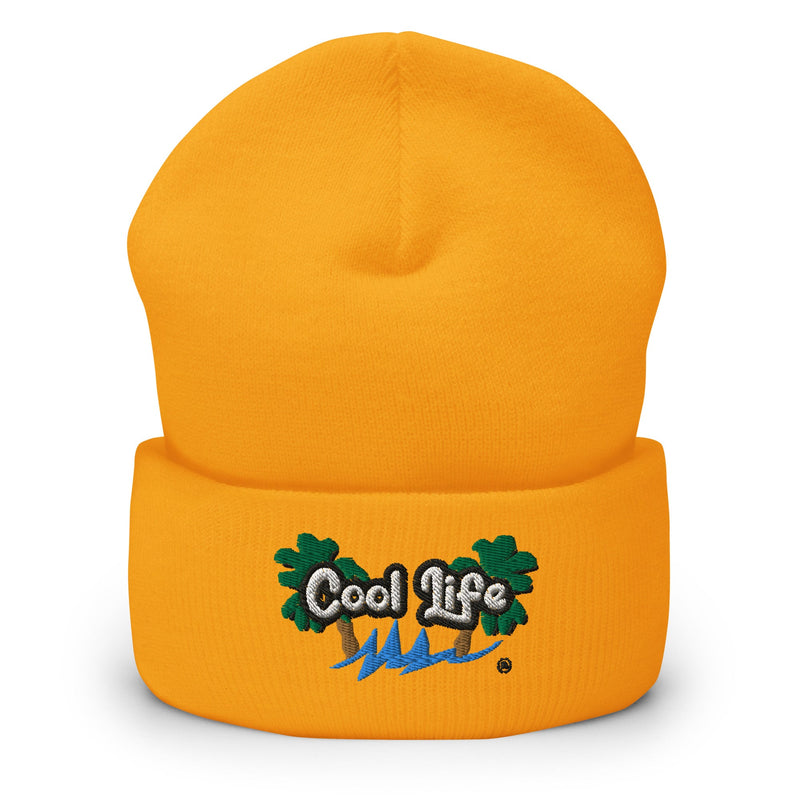 Cool Life Cuffed Beanie - Cool Life