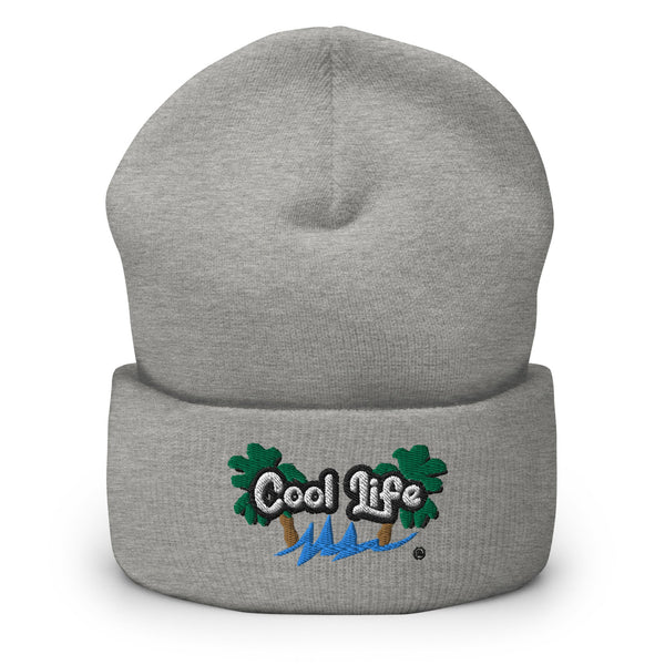 Cool Life Cuffed Beanie - Cool Life